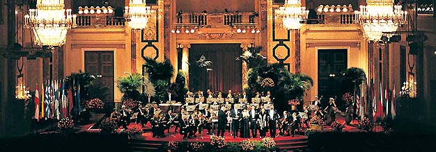 Vienna Hofburg Orchestra 