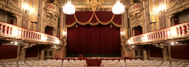Don Giovanni Chamber Opera